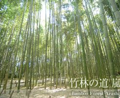 嵐山竹林の道・竹林の小径