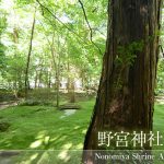 京都嵐山野宮神社