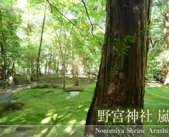 京都嵐山野宮神社