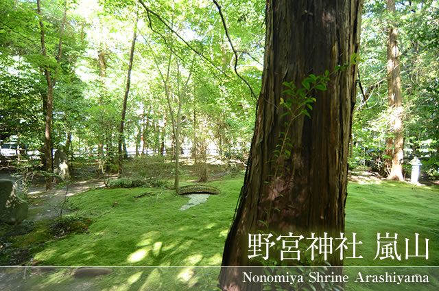 京都嵐山野宮神社