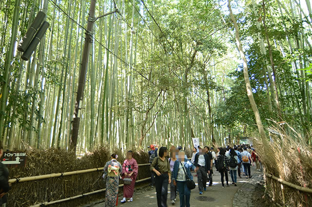 JR嵯峨嵐山駅から竹林の道を通って野宮神社への行き方道順06