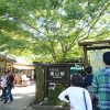 【行き方写真付】トロッコ嵐山駅から竹林の道、天龍寺、野宮神社、京福嵐山駅、渡月橋を通って嵐山モンキーパークいわたやまへの道順