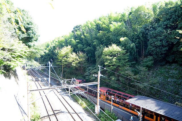 トロッコ嵐山駅から嵐山モンキーパークいわたまでの行き方道順05