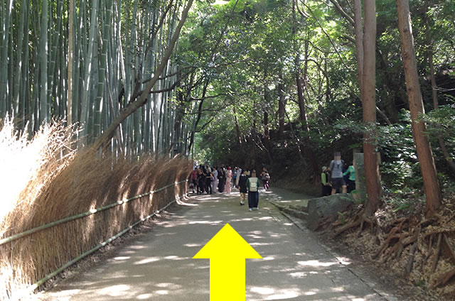 トロッコ嵐山駅から嵐山モンキーパークいわたまでの行き方道順06