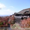 【行き方写真付】JR京都駅から清水寺への最速アクセス