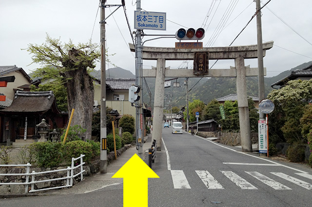 JR京都駅から映画「曇天に笑う」の聖地巡礼日吉東照宮への行き方10